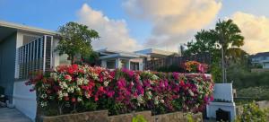 Mahita Garden Villa 3 Bedroom with Amazing view