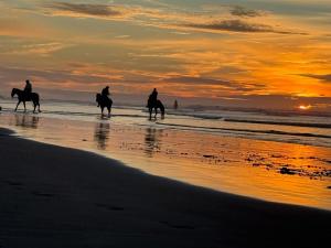 Elegant apartment in Essaouira