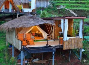 ดาวบนดินCamping