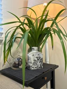 Jacaranda House Garden Suite