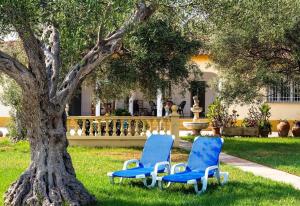 Villa with great pool dog friendly