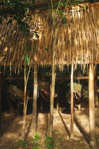 Bubble Paradise, Koh ta Kiev