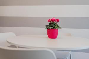 Modern Bright 2BR Penthouse Close to City Center