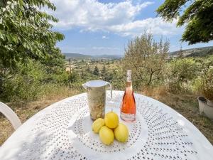 Les Terrasses de lAdrech