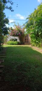 Macondo, your house near the beach