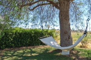 San Lorenzo Holiday Apartment