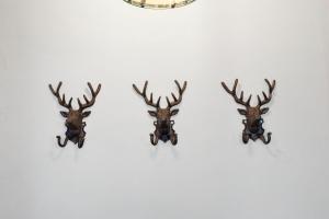 Charming Central Stay