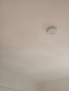 Comfort House Mimosa 1