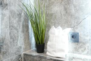 Luxury Apartments - Wohnung IB - Apartment mit Terrasse