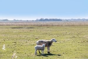 Haus Am Meer Familie Frener