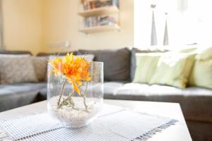 Ferienhaus Siegfried