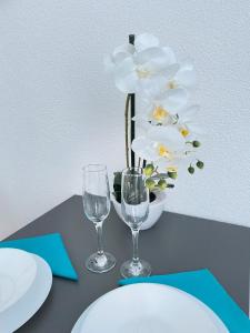 Neue Orchideen-apartments Im Haus