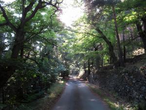 Loft de Charme La Rose Désirée