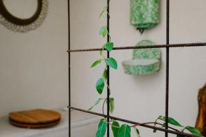 1 Bed Tiny House Sleeps 2 -Hot Tub -Coal Fireplace