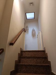 El Caracol azul del Plano