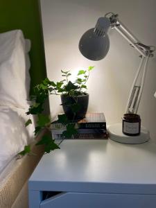 Comfy childdog friendly garden flat heart Camden