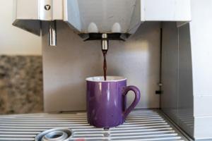 Villa luxueuse pour un séjour inoubliable