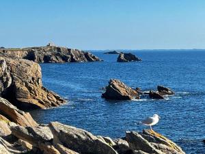 Studio spacieux à Quiberon, vue mer, 40m² - FR-1-478-193