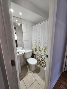 Amplio, acogedor y céntrico departamento