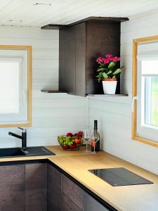 Tiny house & Sauna - Alejas