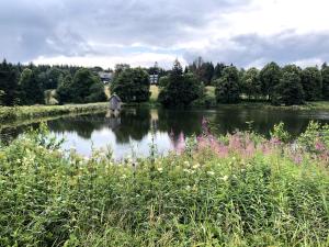 Luxus Ferienwohnung Traumblick Hahnenklee 4Sterne DTV