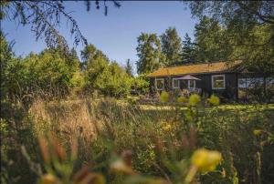 Coastal Family Retreat - 150M to the Beach
