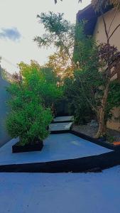 Casa no Alto dos Ingleses