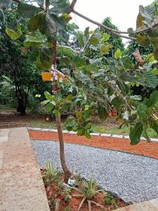 Sítio Doce Mel
