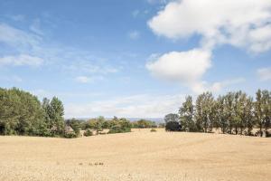 Dejlig Feriebolig I Hesselager På Charmerende Sydfyn