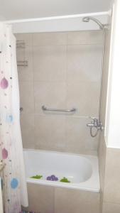 Ituzaingo 958 By Suviex