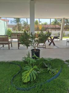 Pousada Janela dos Ventos