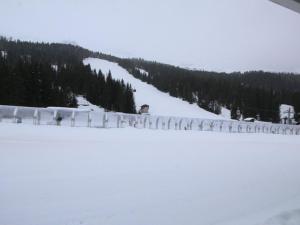 Studio 4 pers. sur les pistes à Flaine, parking, casier à skis, terrasse - FR-1-687-75