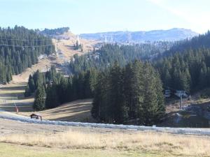 Studio 4 pers. sur les pistes à Flaine, parking, casier à skis, terrasse - FR-1-687-75