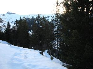 Appartement 2 Pièces 6 Pers à Flaine Forêt, Résidence Pollux, Proche Pistes et Commerces - FR-1-687-71