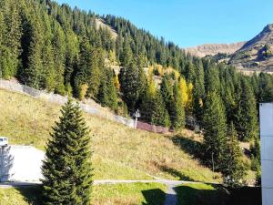 Studio 5 pers à Flaine, proche pistes et commerces, animaux admis - FR-1-687-91