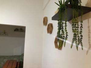 Departamento Adrián