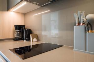 Araucano Park Luxe Pool and Gym 1BR Exec Suite