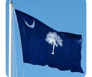 Charleston, SC themed - PRIVATE 1 QUEEN BED 1 BATH APARTMENT 2 FUTONS THAT FOLD OUT FLAT TO SLEEP ON & LEATHER LOVE SEAT GAS LOGS IN LIVING ROOM FULL KITCHEN POKER BUMPER POOL TABLE CONVENIENTLY LOCATED IN COLUMBIA SOUTH CAROLINA 1 QUEEN BED & 2 SOFA