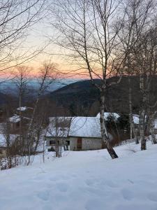 Appartement chalet