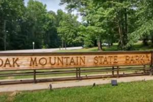 Family Escape with Garage, Pool and Park)