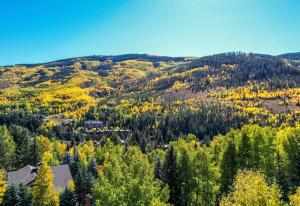 Value - Vail Hideaway - Forest Views, Deck Comfort