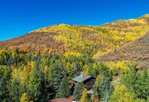 Value - Vail Hideaway - Forest Views, Deck Comfort