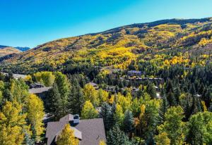 Value - Vail Hideaway - Forest Views, Deck Comfort