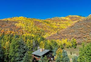 Value - Vail Hideaway - Forest Views, Deck Comfort