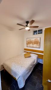 DEPARTAMENTO OLACHEA La Paz BCS