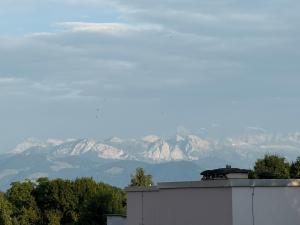 Moderne & helle Wohnung mit Netflix & Bergsicht