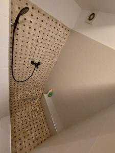 Garsoniera zona centrala Craiova