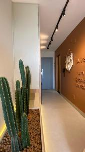 Flat espetacular em Manaíra