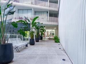 Alto Grande del Arte -0414