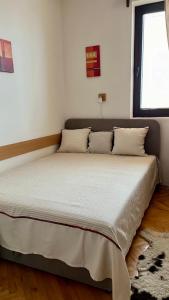 Vila Boris, Apartman Aleksej - Kopaonik